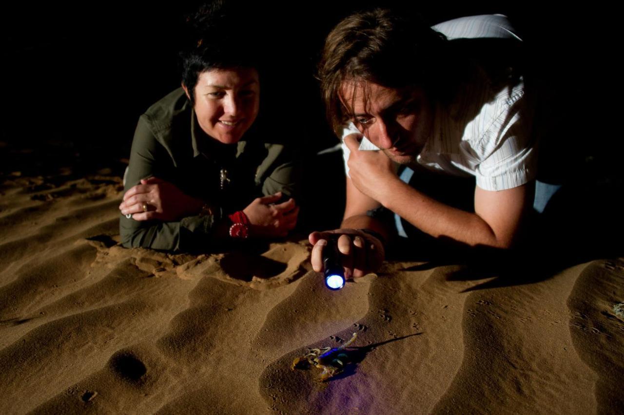 Wilderness Safaris Kulala Desert Lodge Sesriem Luaran gambar